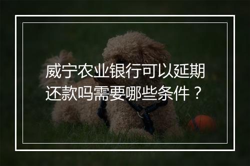 威宁农业银行可以延期还款吗需要哪些条件？