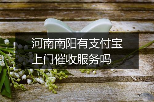 河南南阳有支付宝上门催收服务吗
