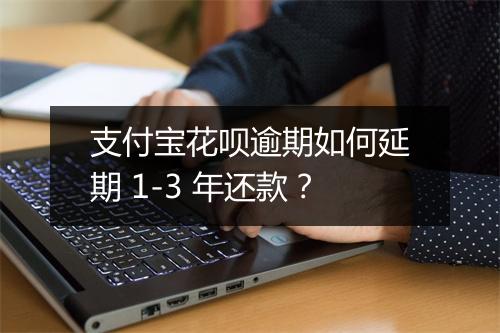 支付宝花呗逾期如何延期 1-3 年还款？