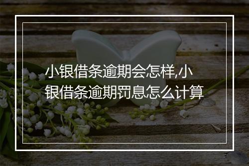 小银借条逾期会怎样,小银借条逾期罚息怎么计算