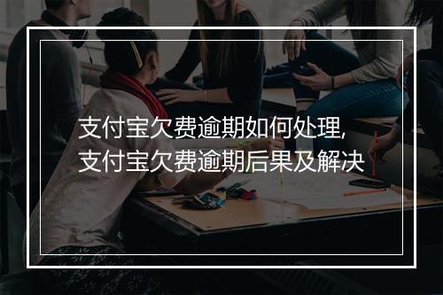 支付宝欠费逾期如何处理,支付宝欠费逾期后果及解决