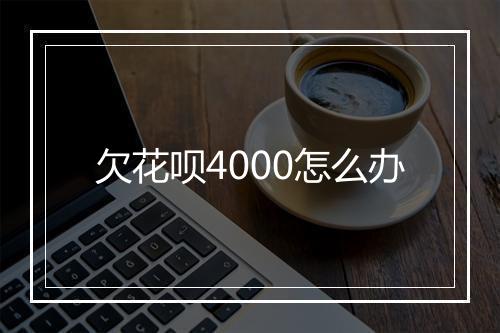 欠花呗4000怎么办
