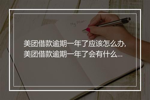 美团借款逾期一年了应该怎么办,美团借款逾期一年了会有什么后果