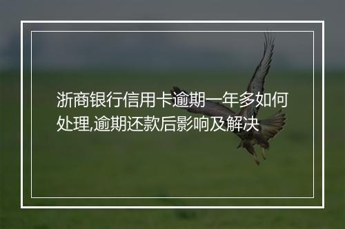 浙商银行信用卡逾期一年多如何处理,逾期还款后影响及解决