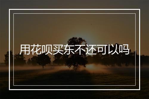 用花呗买东不还可以吗