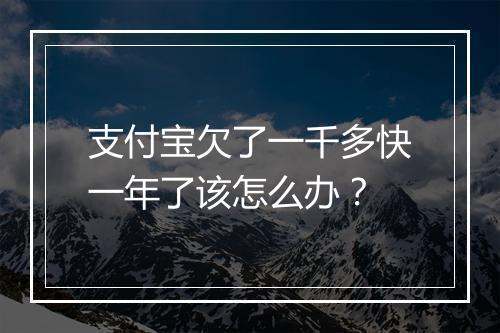 支付宝欠了一千多快一年了该怎么办？
