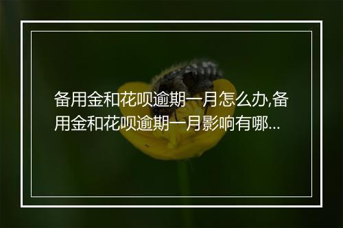 备用金和花呗逾期一月怎么办,备用金和花呗逾期一月影响有哪些