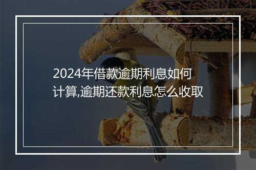 2024年借款逾期利息如何计算,逾期还款利息怎么收取
