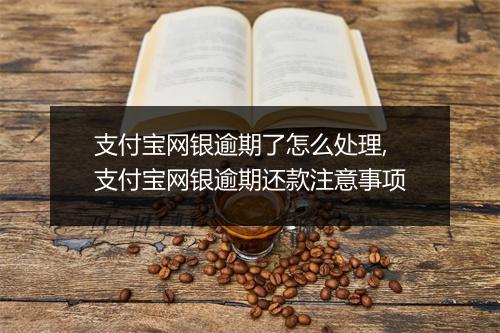 支付宝网银逾期了怎么处理,支付宝网银逾期还款注意事项