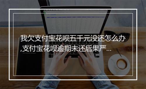 我欠支付宝花呗五千元没还怎么办,支付宝花呗逾期未还后果严重吗