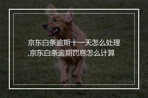 京东白条逾期十一天怎么处理,京东白条逾期罚息怎么计算