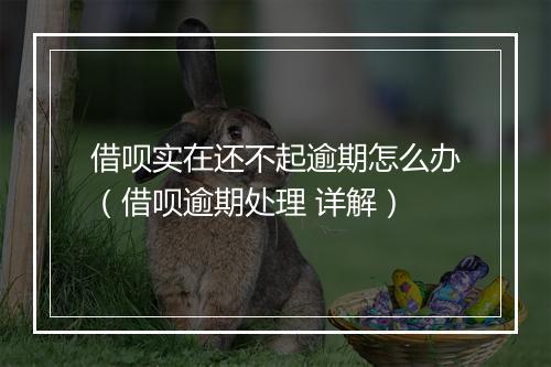 借呗实在还不起逾期怎么办（借呗逾期处理 详解）