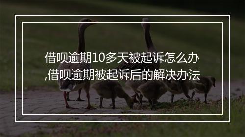 借呗逾期10多天被起诉怎么办,借呗逾期被起诉后的解决办法