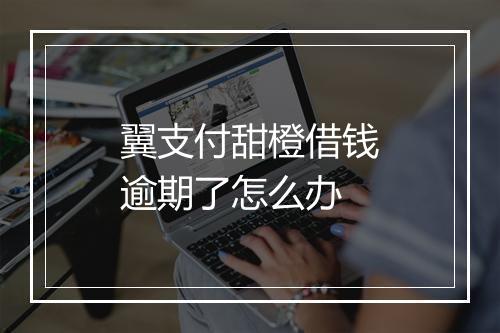 翼支付甜橙借钱逾期了怎么办