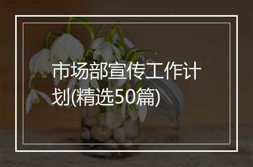 市场部宣传工作计划(精选50篇)