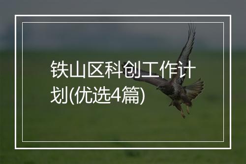 铁山区科创工作计划(优选4篇)