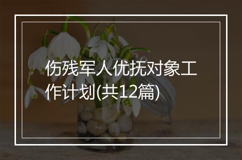 伤残军人优抚对象工作计划(共12篇)