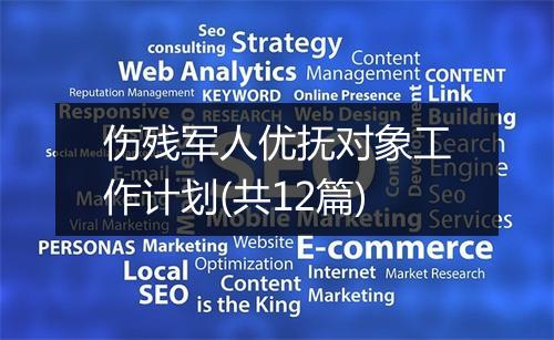 伤残军人优抚对象工作计划(共12篇)