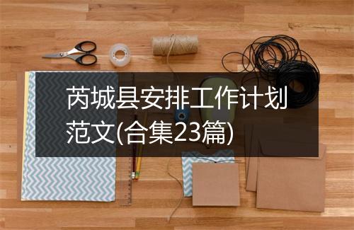 芮城县安排工作计划范文(合集23篇)