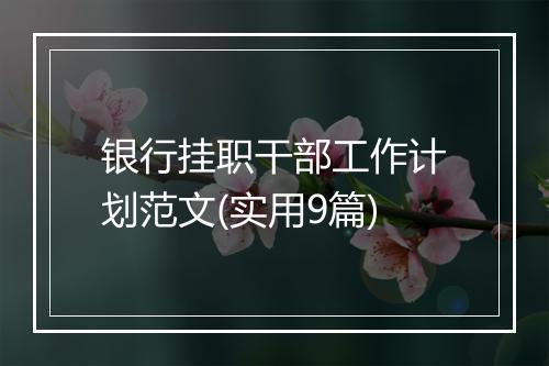银行挂职干部工作计划范文(实用9篇)