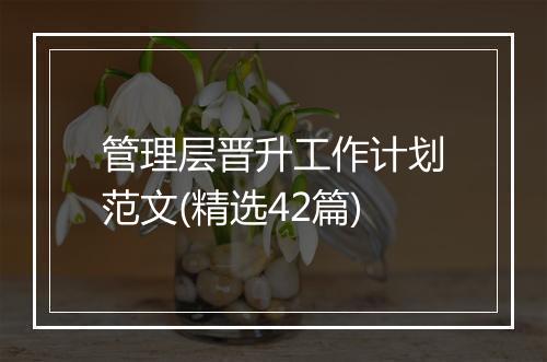 管理层晋升工作计划范文(精选42篇)