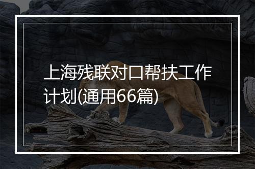 上海残联对口帮扶工作计划(通用66篇)