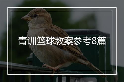 青训篮球教案参考8篇