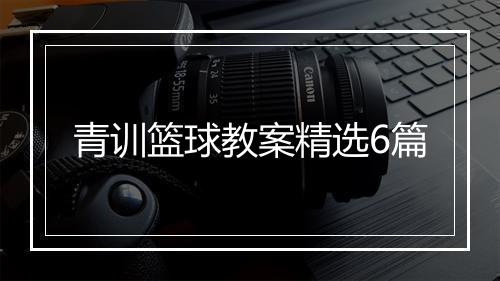 青训篮球教案精选6篇