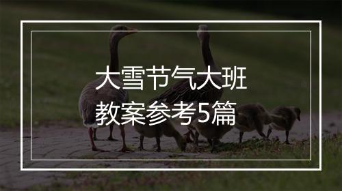 大雪节气大班教案参考5篇