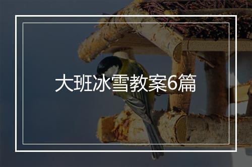 大班冰雪教案6篇