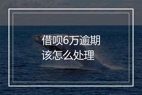 借呗6万逾期该怎么处理