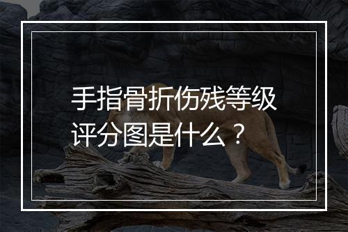 手指骨折伤残等级评分图是什么？