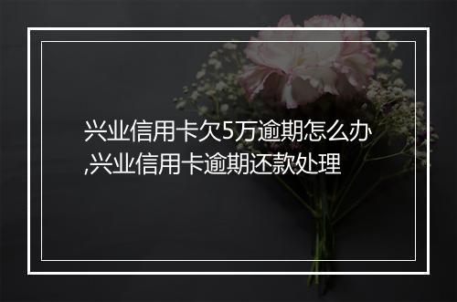兴业信用卡欠5万逾期怎么办,兴业信用卡逾期还款处理