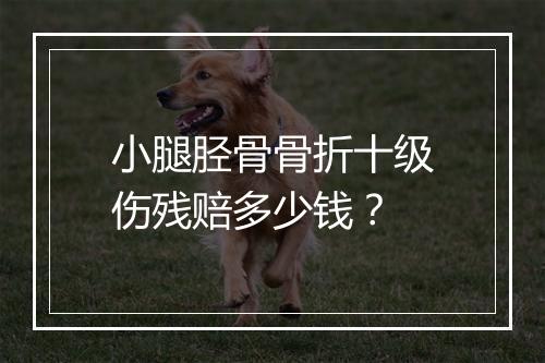 小腿胫骨骨折十级伤残赔多少钱？