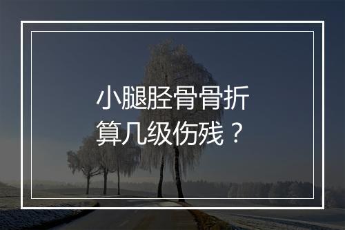 小腿胫骨骨折算几级伤残？