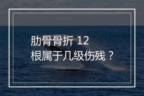 肋骨骨折 12 根属于几级伤残？