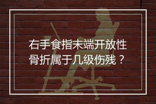 右手食指末端开放性骨折属于几级伤残？
