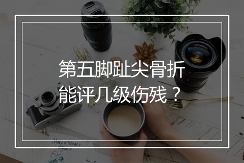 第五脚趾尖骨折能评几级伤残？