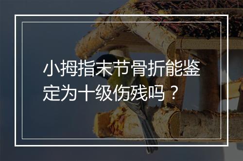 小拇指末节骨折能鉴定为十级伤残吗？