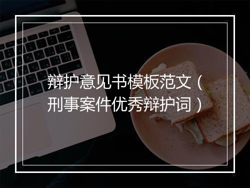 辩护意见书模板范文（刑事案件优秀辩护词）