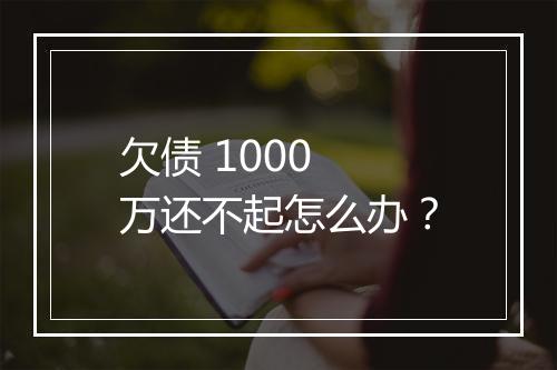 欠债 1000 万还不起怎么办？