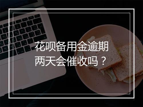 花呗备用金逾期两天会催收吗？