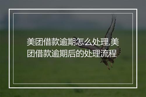 美团借款逾期怎么处理,美团借款逾期后的处理流程