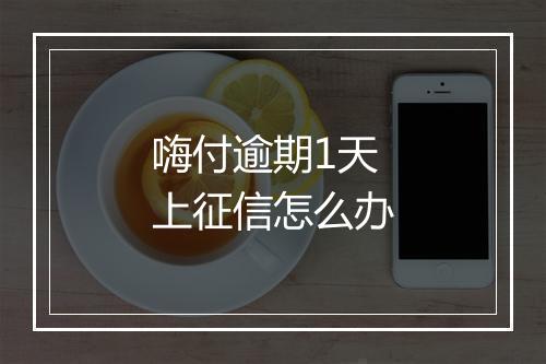 嗨付逾期1天上征信怎么办