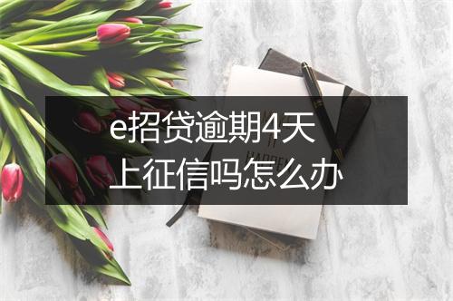 e招贷逾期4天上征信吗怎么办