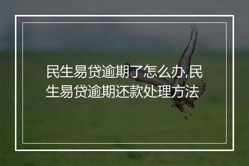 民生易贷逾期了怎么办,民生易贷逾期还款处理方法