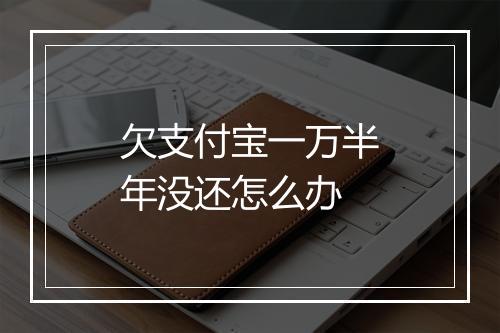 欠支付宝一万半年没还怎么办