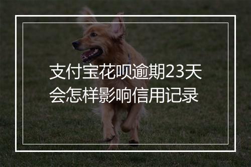 支付宝花呗逾期23天会怎样影响信用记录