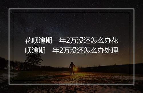 花呗逾期一年2万没还怎么办花呗逾期一年2万没还怎么办处理