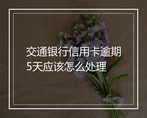 交通银行信用卡逾期5天应该怎么处理